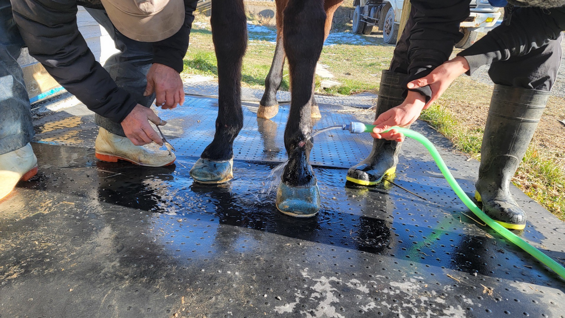 5a0960ab61dfa0806ee25aa998e72c75-1760934828.jpg 5a0960ab61dfa0806ee25aa998e72c75-1760934828.jpg